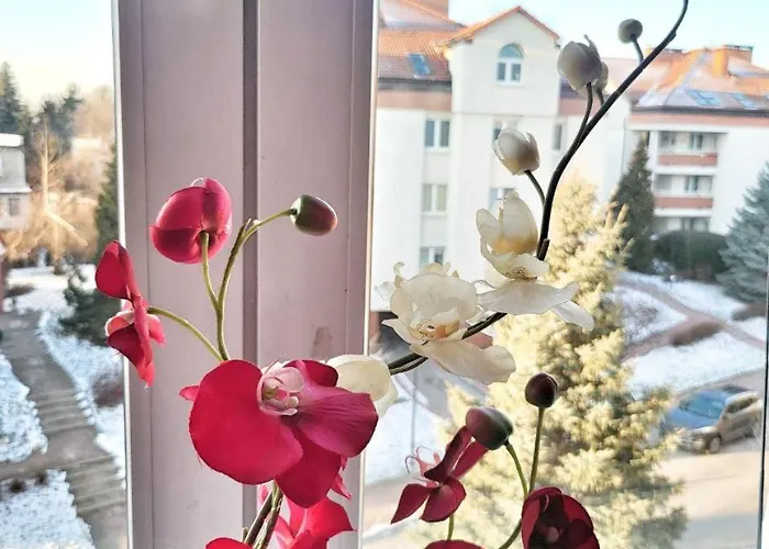 Przy Alejach Jerozolimskich